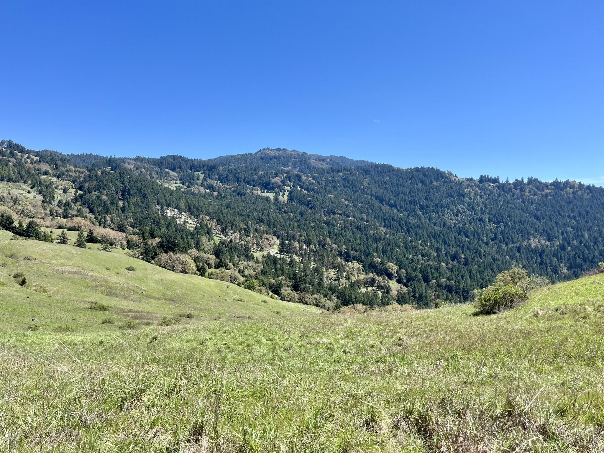 164-acres Saber Tooth Road Blue Lake, CA 95525 - Photo 2 of 11