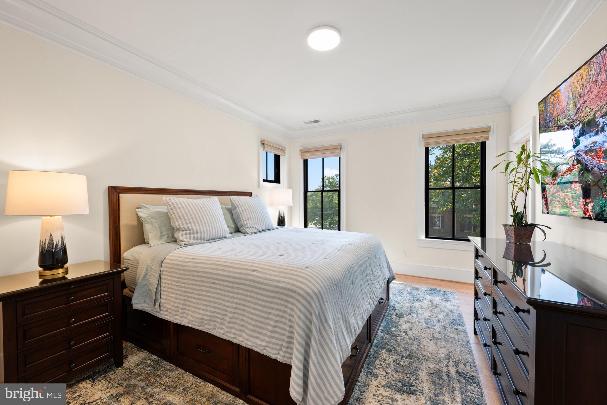 3612 North Rockingham Street Arlington, VA 22213 - Photo 44 of 64 Secondary Suite with Step In Closet