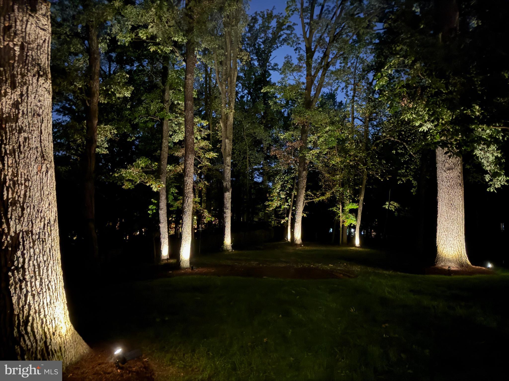 3612 North Rockingham Street Arlington, VA 22213 - Photo 62 of 64 Lighting Showcases & Illuminates the Landscaping