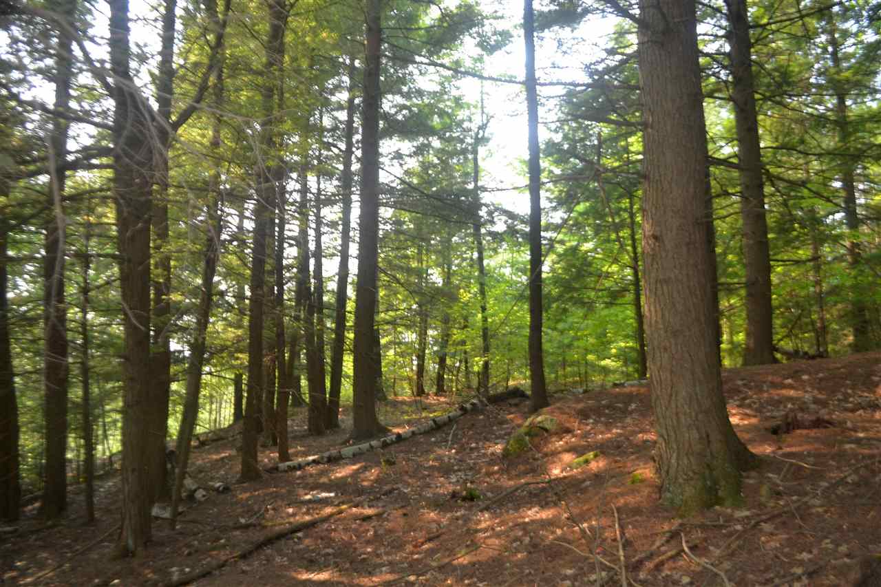 135 Pest House Road Tilton, NH 03276 - Photo 1 of 22