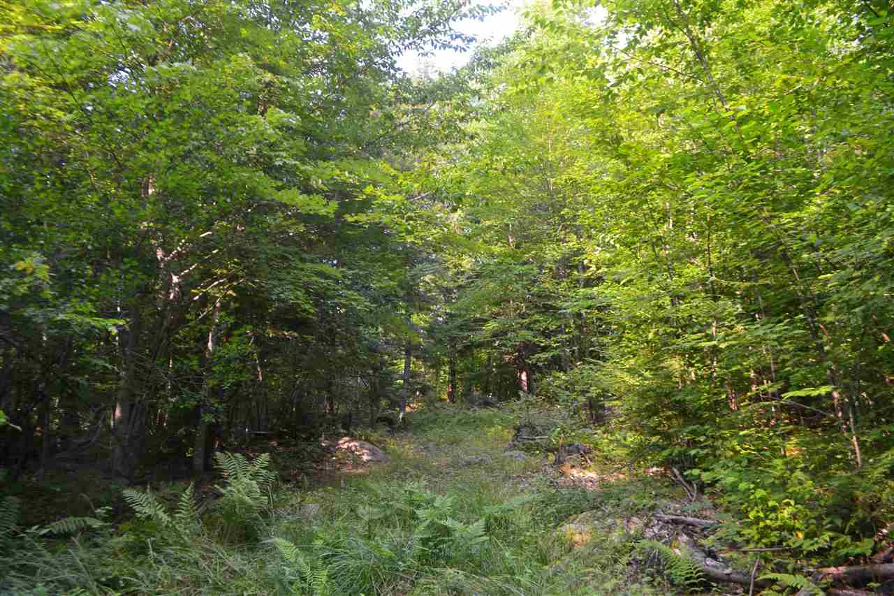 135 Pest House Road Tilton, NH 03276 - Photo 12 of 22