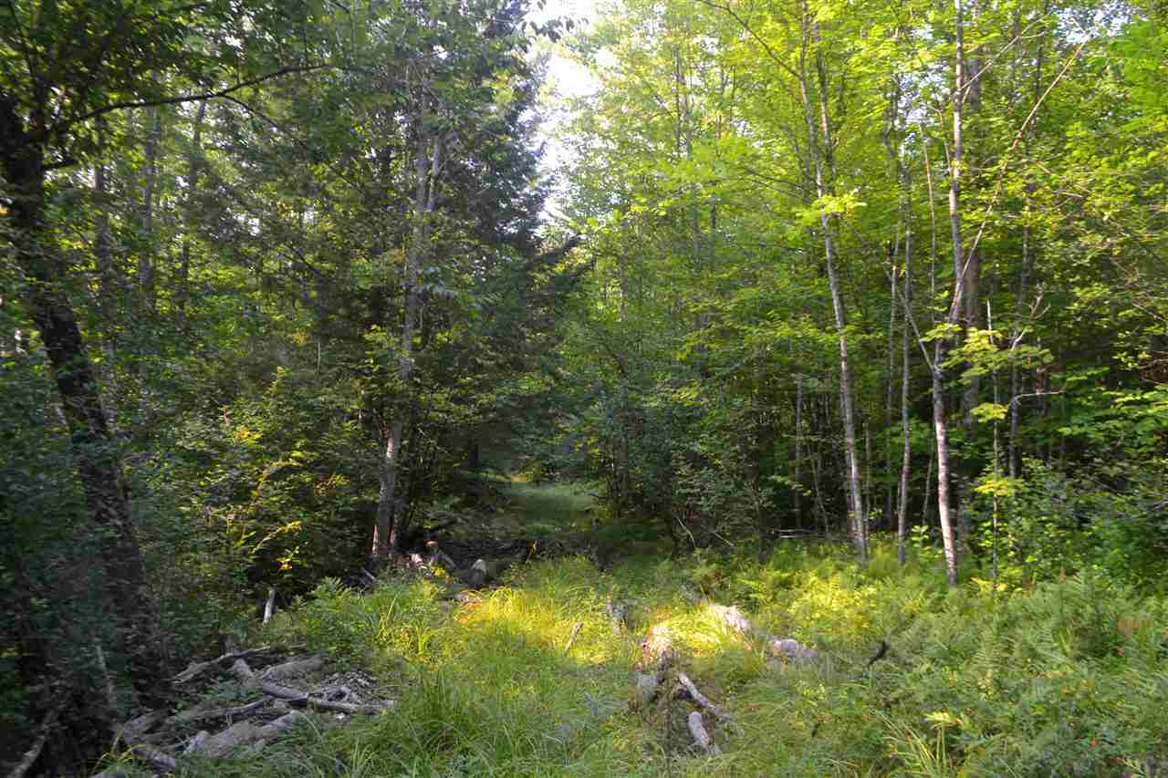 135 Pest House Road Tilton, NH 03276 - Photo 13 of 22