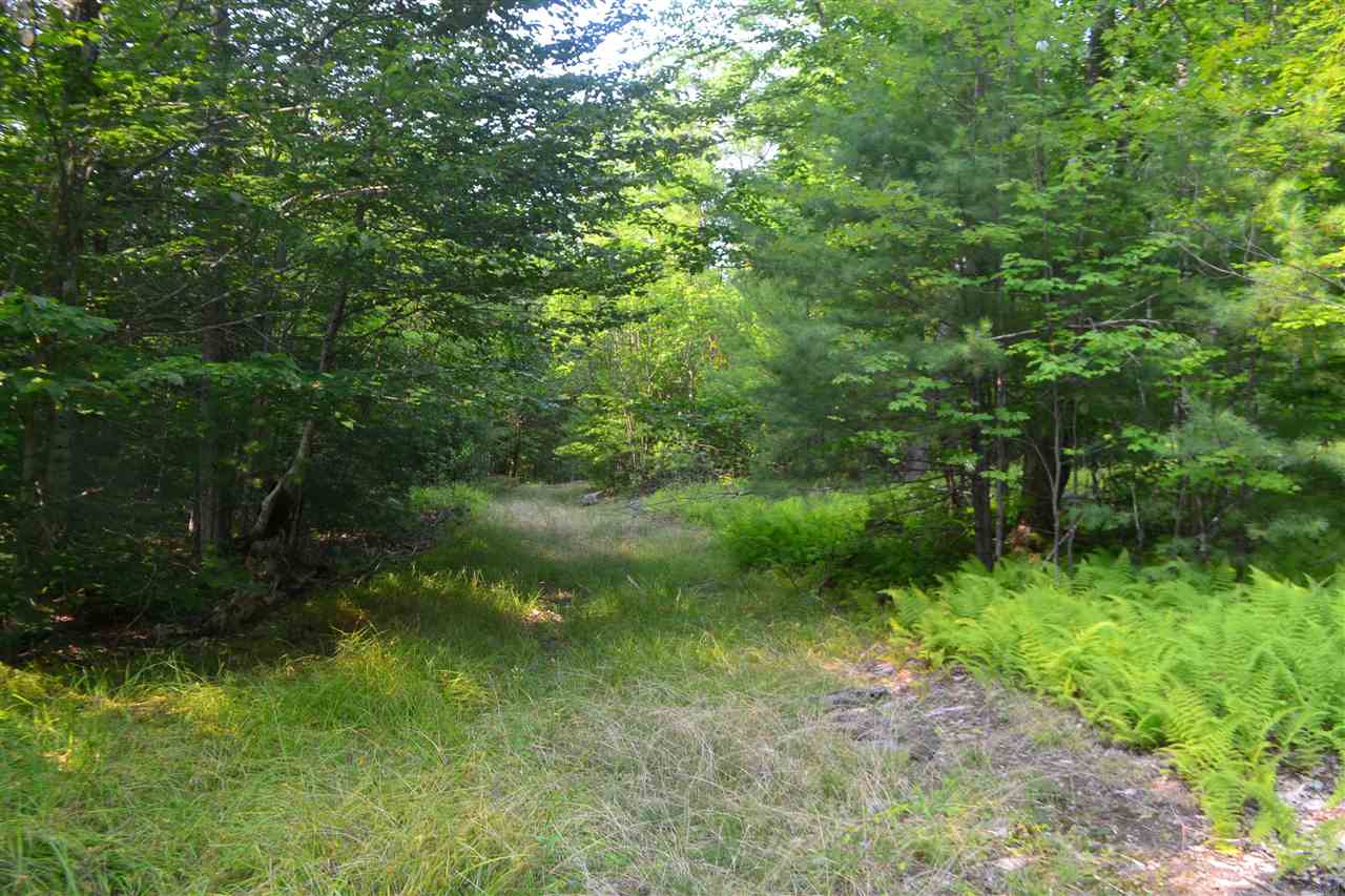 135 Pest House Road Tilton, NH 03276 - Photo 14 of 22