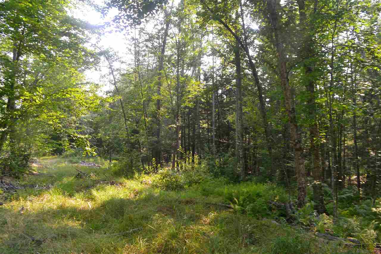 135 Pest House Road Tilton, NH 03276 - Photo 15 of 22