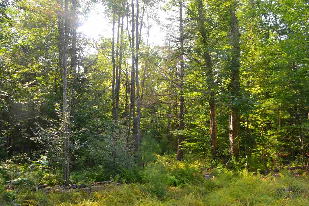 135 Pest House Road Tilton, NH 03276 - Photo 16 of 22