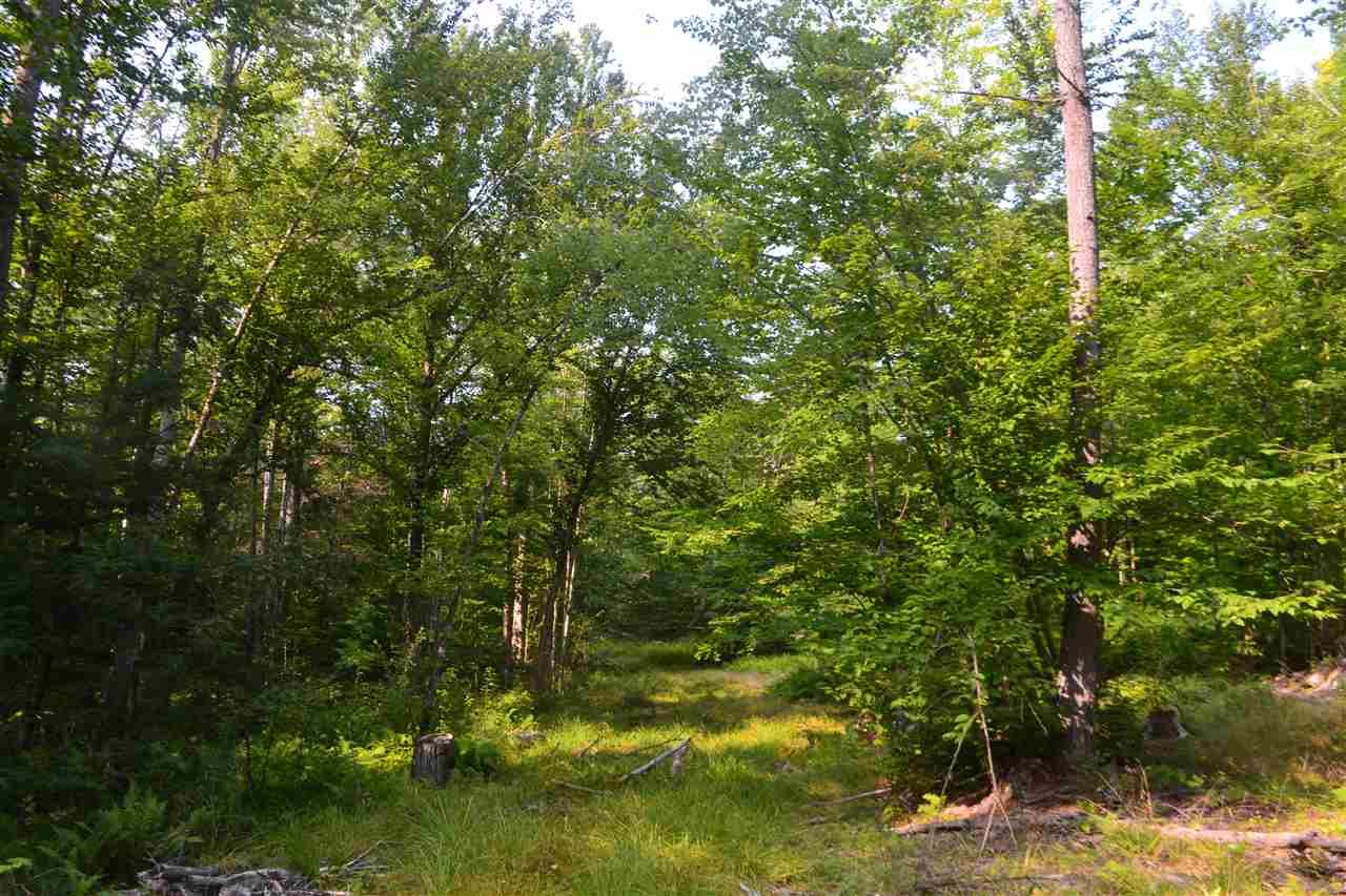 135 Pest House Road Tilton, NH 03276 - Photo 17 of 22