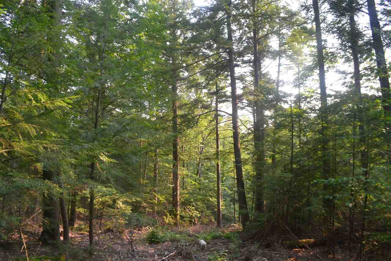 135 Pest House Road Tilton, NH 03276 - Photo 3 of 22