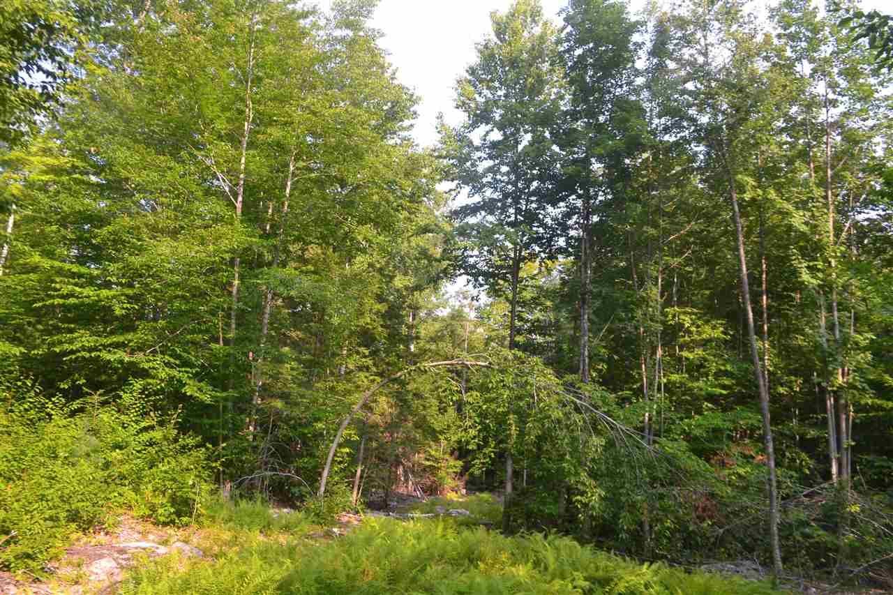 135 Pest House Road Tilton, NH 03276 - Photo 4 of 22