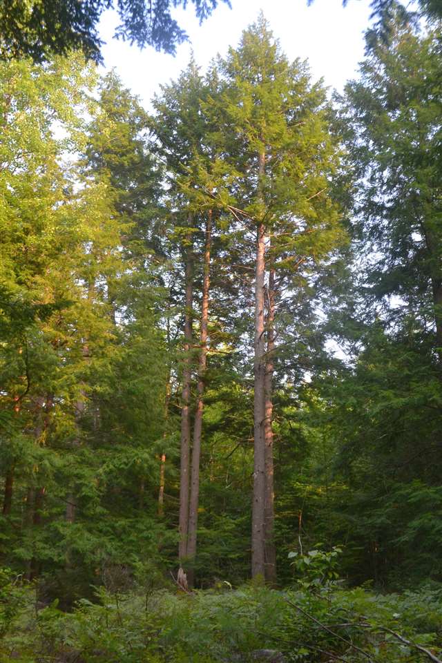135 Pest House Road Tilton, NH 03276 - Photo 5 of 22
