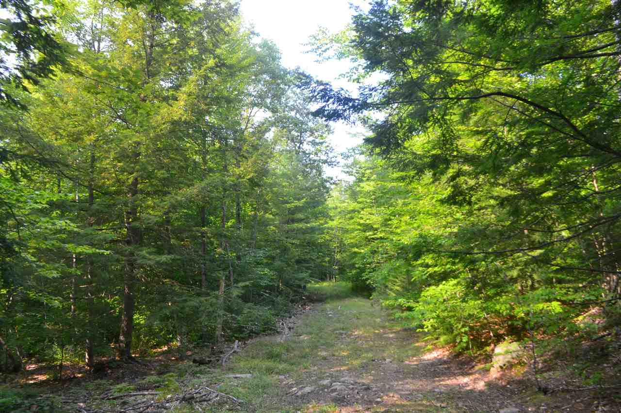 135 Pest House Road Tilton, NH 03276 - Photo 8 of 22