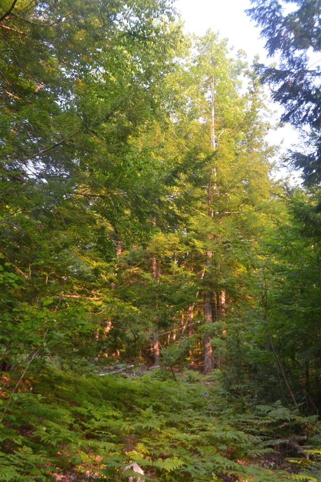 135 Pest House Road Tilton, NH 03276 - Photo 9 of 22