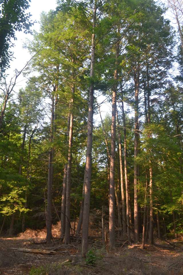 135 Pest House Road Tilton, NH 03276 - Photo 10 of 22