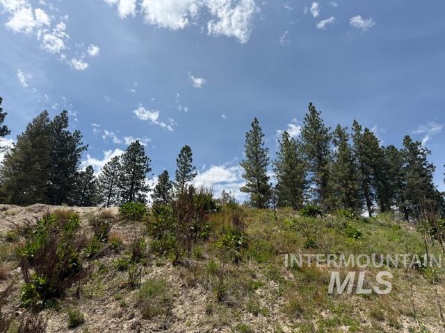 3 Sunset Road Garden Valley, ID 83622 - Photo 15 of 22