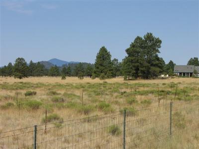15 Government Prairie Road Parks, AZ 86018 - Photo 1 of 2 Primary Photo