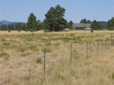 15 Government Prairie Road Parks, AZ 86018 - Photo 2 of 2 Additional Photo