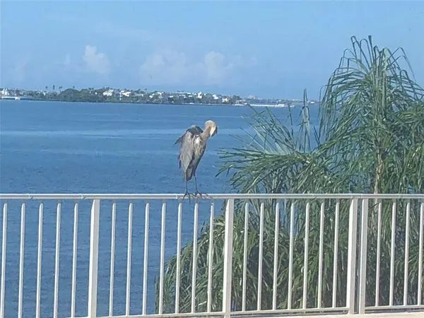 $449,900 | 100 Pierce Street, Unit 305, Clearwater, FL 33756