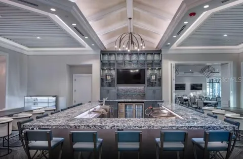 a view of lake with palm trees