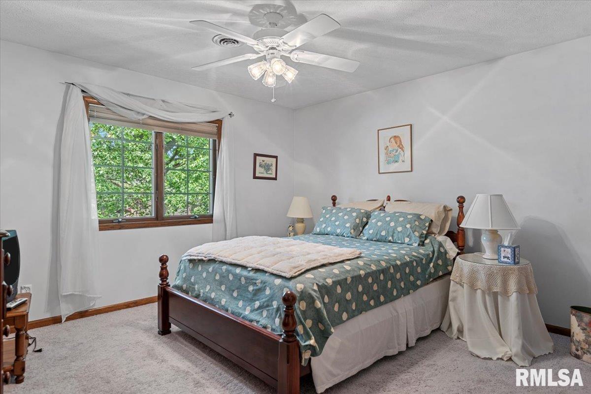 828 Coventry Point Springfield, IL 62702 - Photo 26 of 42