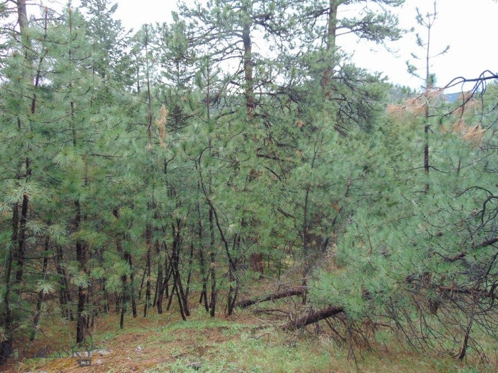 Tbd Shady Spring Lane Cascade, MT 59421 - Photo 42 of 78 Gallery Image 42