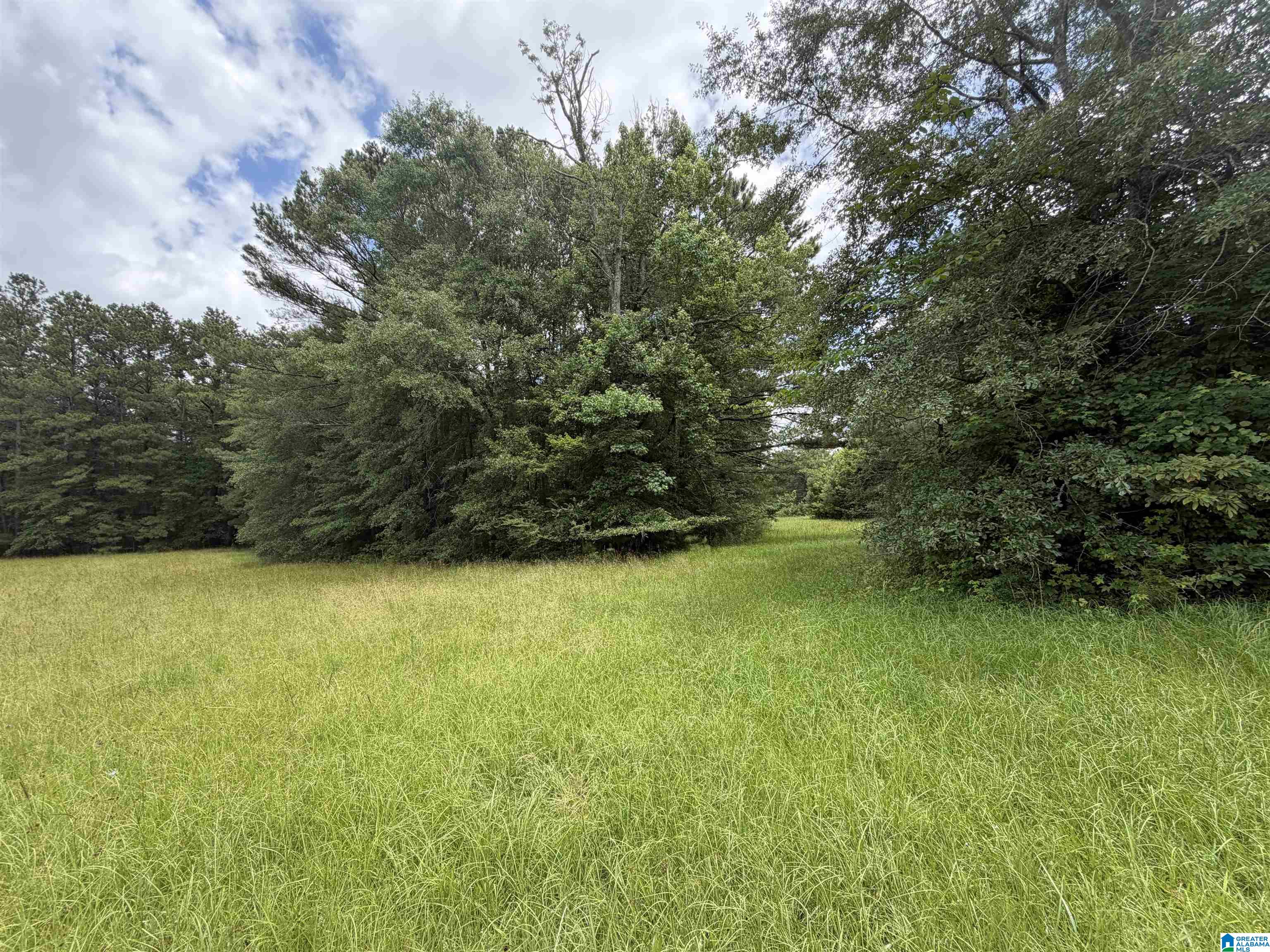 0 Hall Burton Road, Unit 1 Sumiton, AL 35148 - Photo 9 of 10