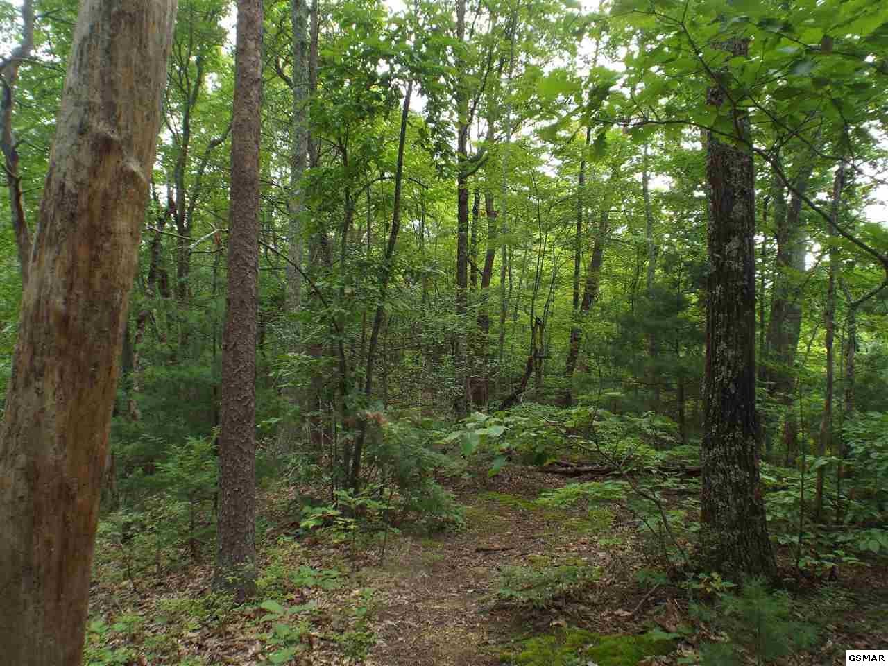 0 Huskey Grove Road Sevierville, TN 37876 - Photo 6 of 11