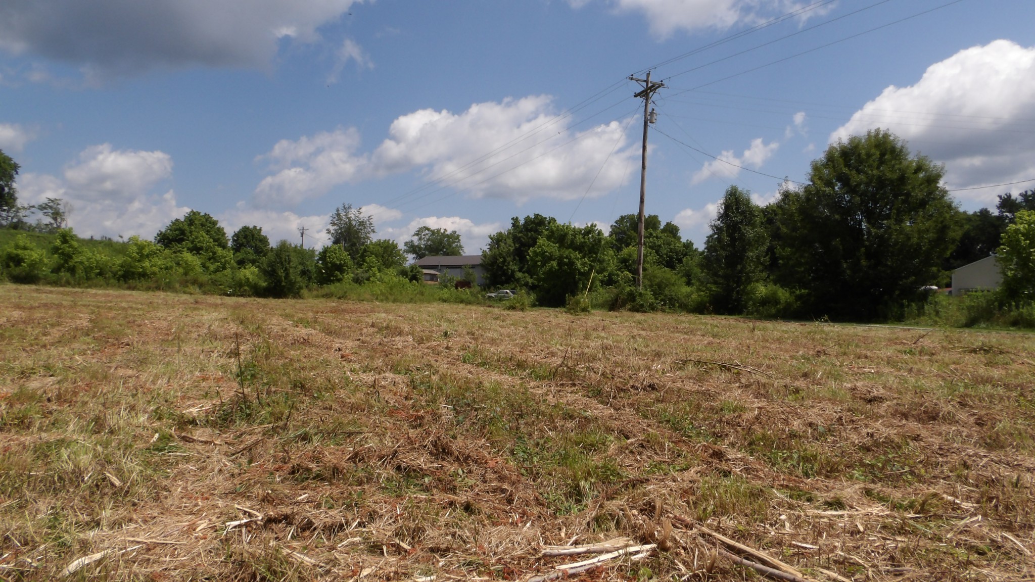 0 Lonnie Reecer Road Celina, TN 38551 - Photo 31 of 44