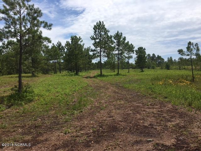 459 Pilchers Branch Road Holly Ridge, NC 28445 - Photo 1 of 11 18.23 acres 1