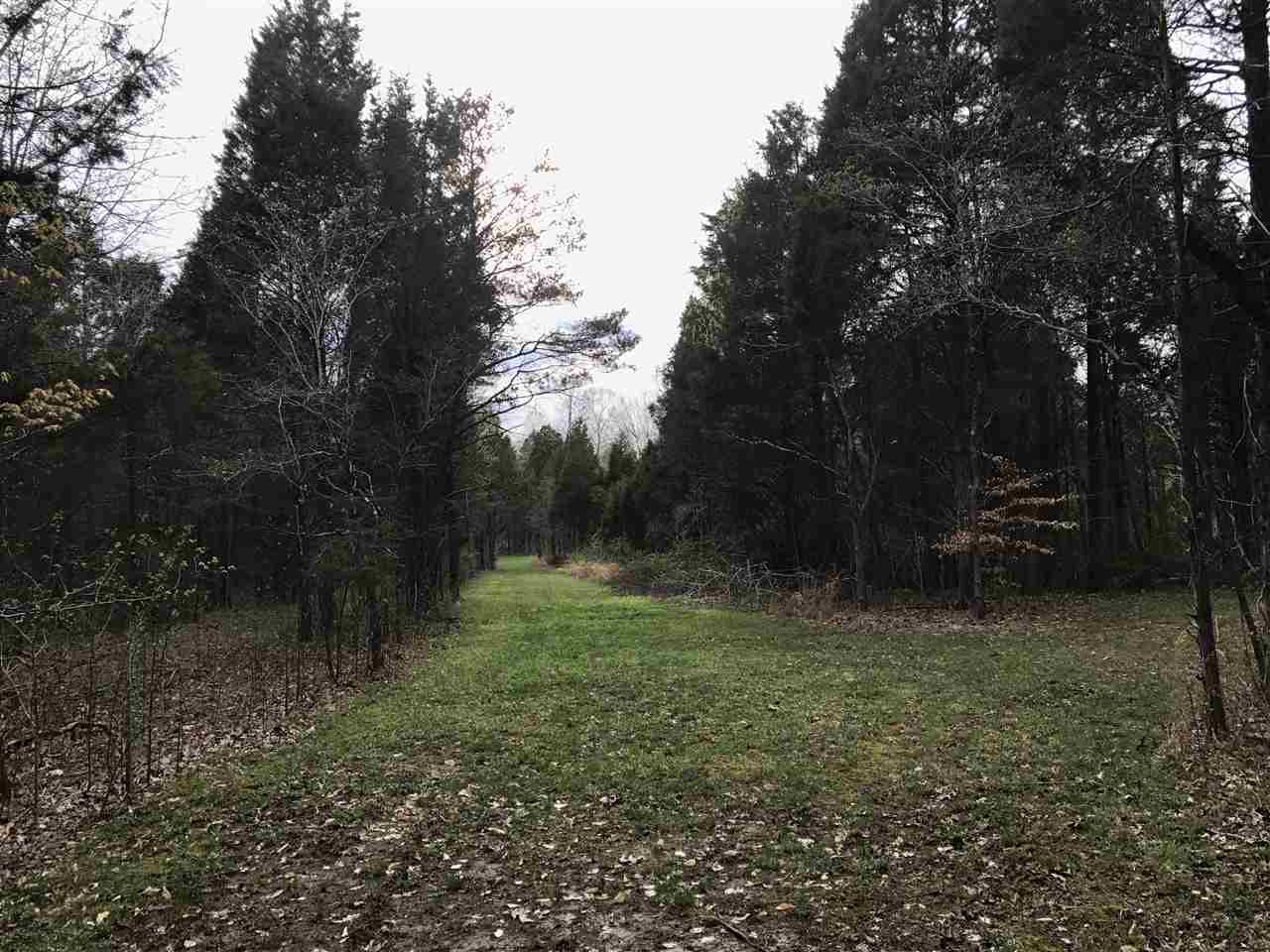 8579 South Riddle Road English, IN 47118 - Photo 17 of 35