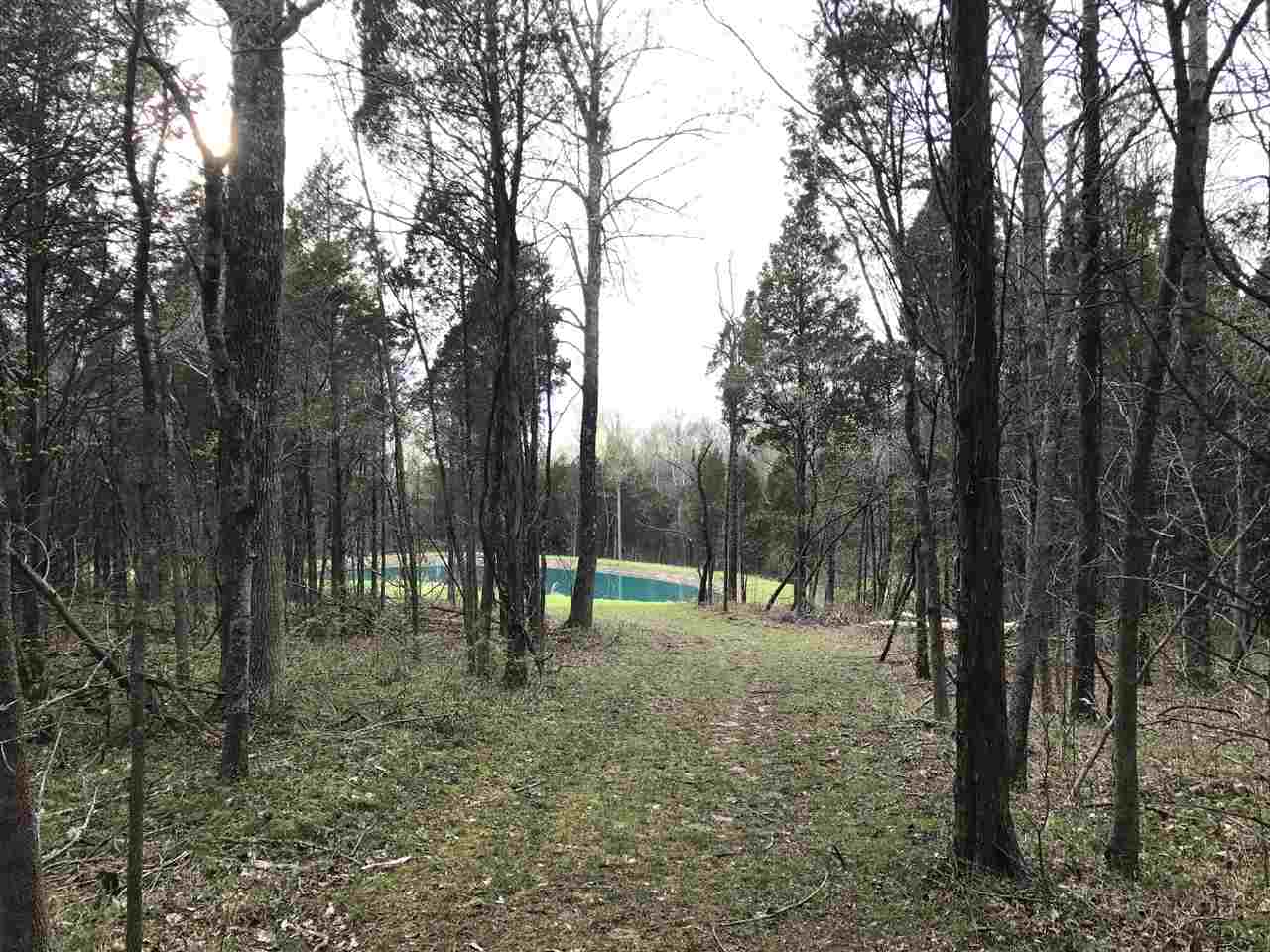 8579 South Riddle Road English, IN 47118 - Photo 18 of 35