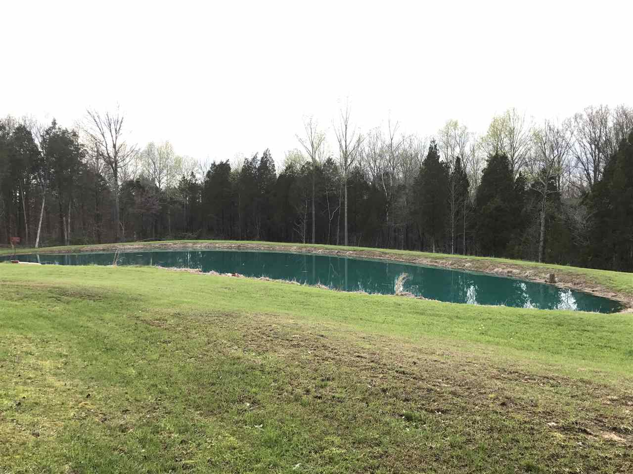 8579 South Riddle Road English, IN 47118 - Photo 19 of 35