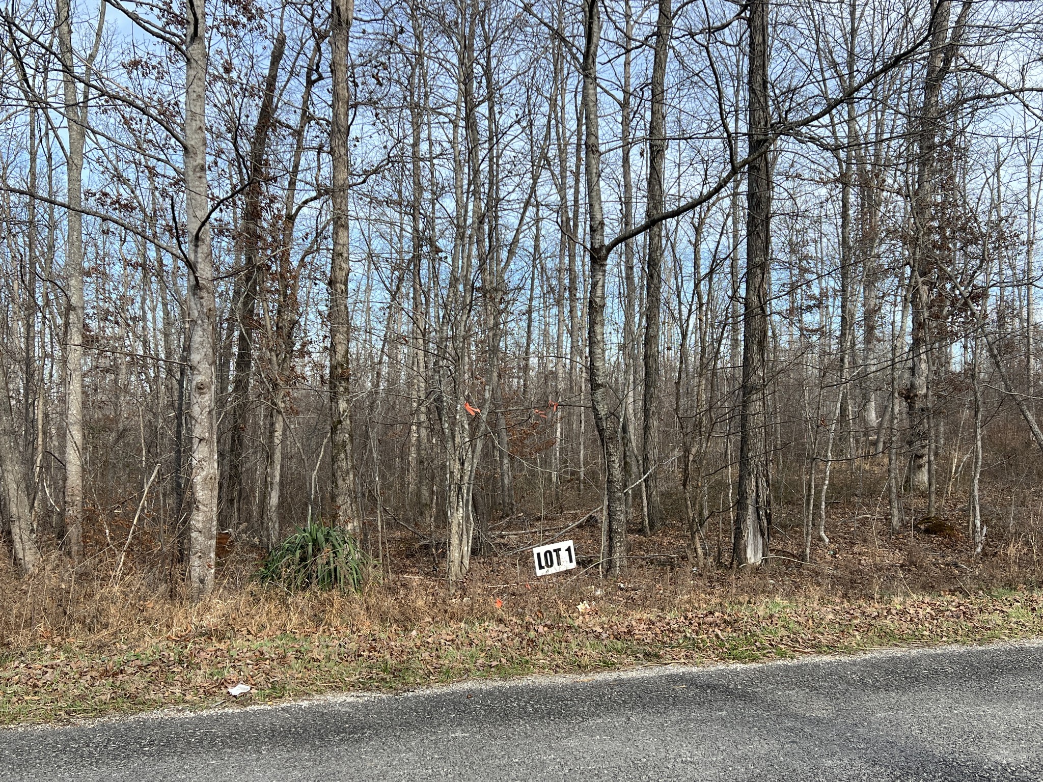 1 Slaughter Road Primm Springs, TN 38476 - Photo 2 of 6 a backyard of a house with lots of trees
