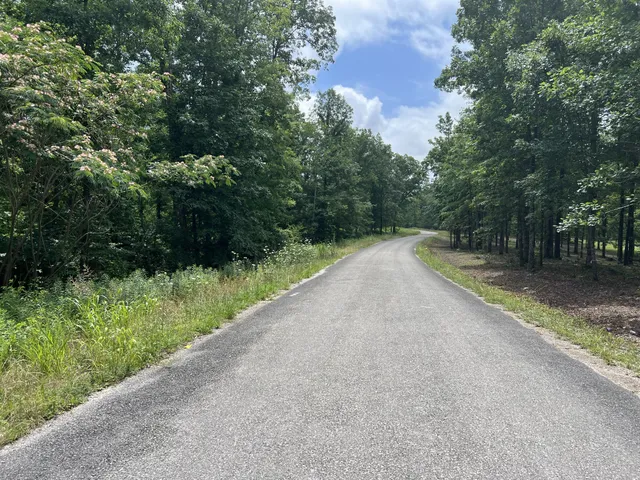 a view of road with trees