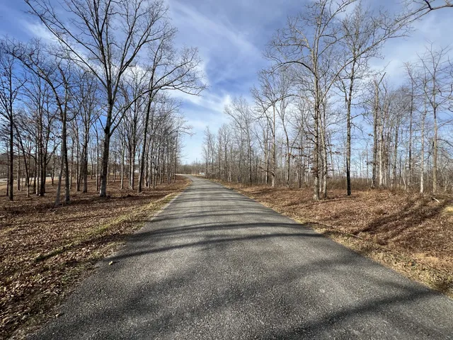 $129,950 | 1 Slaughter Road, Primm Springs, TN 38476