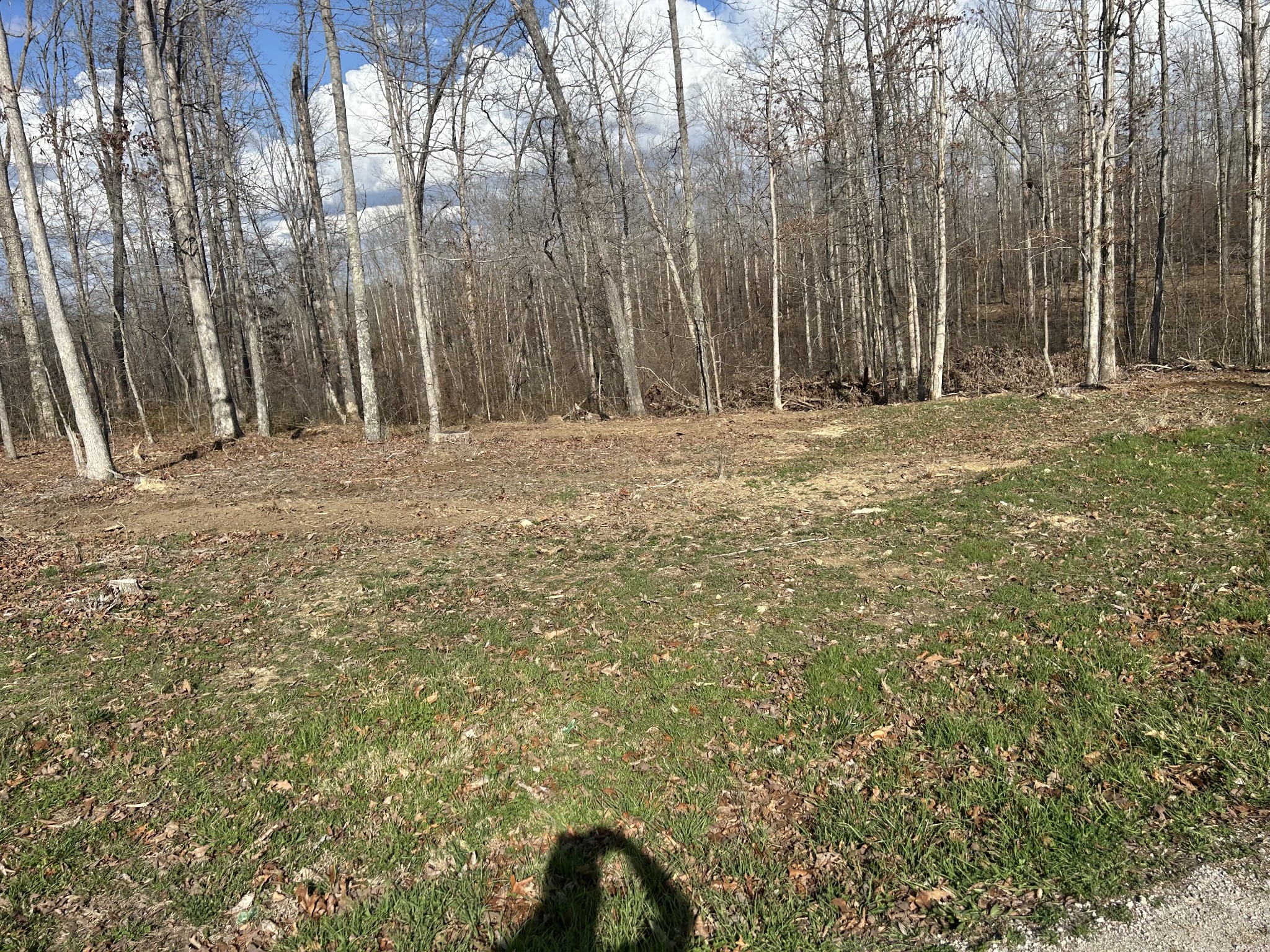 1 Slaughter Road Primm Springs, TN 38476 - Photo 7 of 9