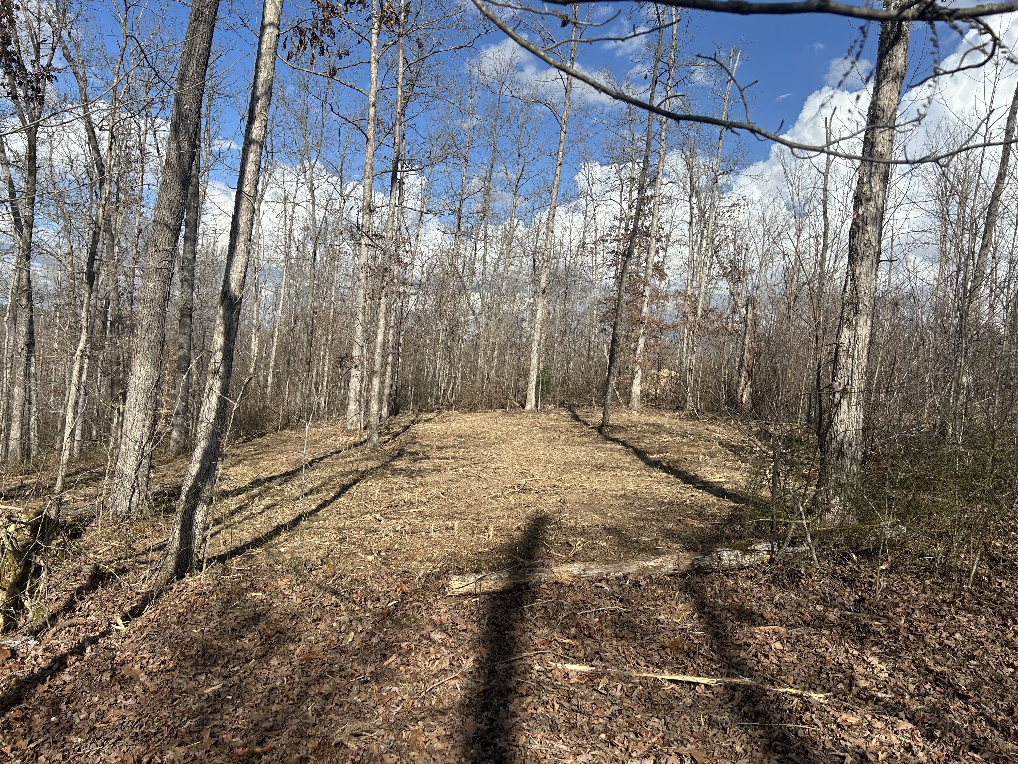 1 Slaughter Road Primm Springs, TN 38476 - Photo 8 of 9