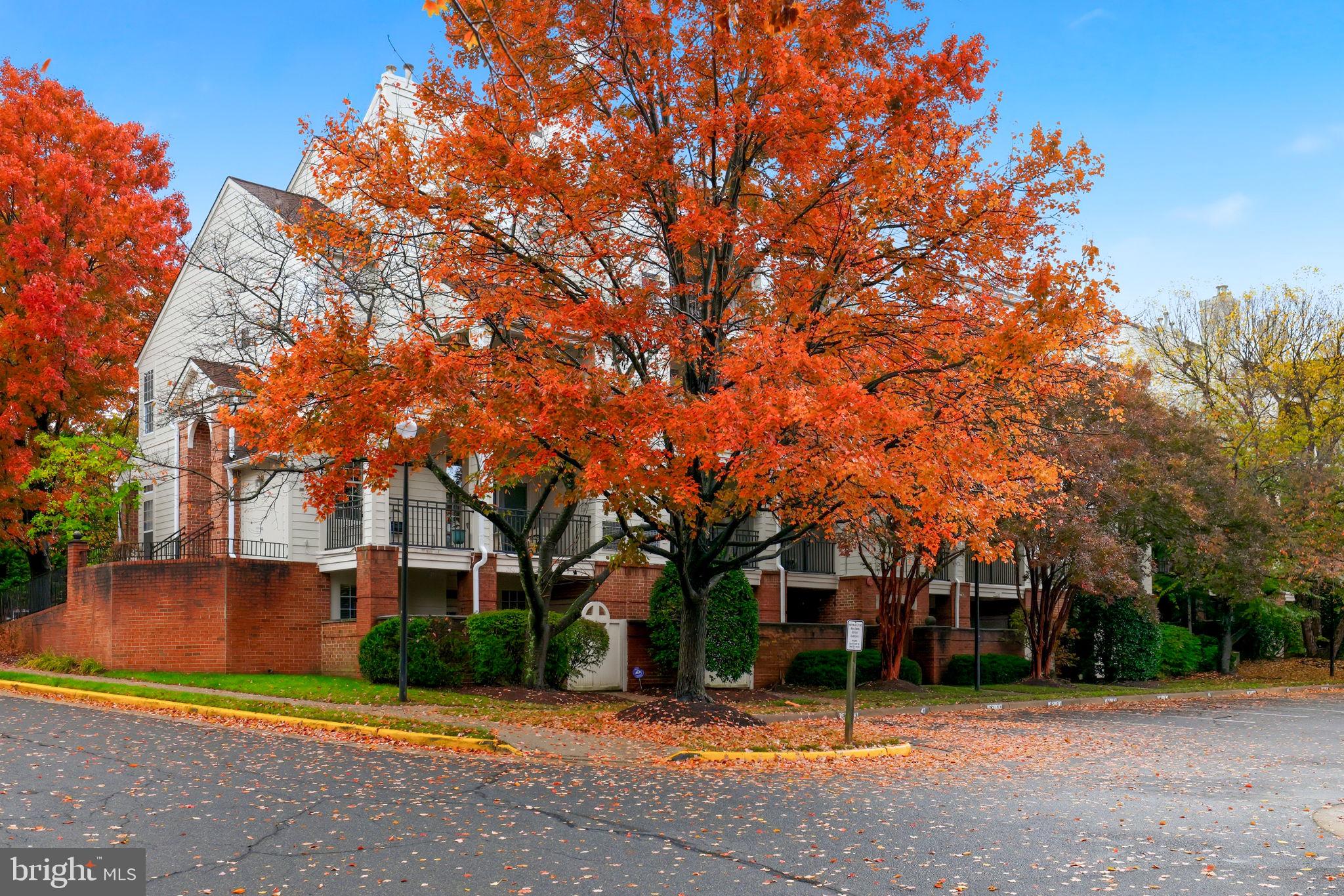 1340 Garden Wall Circle, Unit 502 Reston, VA 20194 - Photo 3 of 32 a view of a house with a tree in front of it