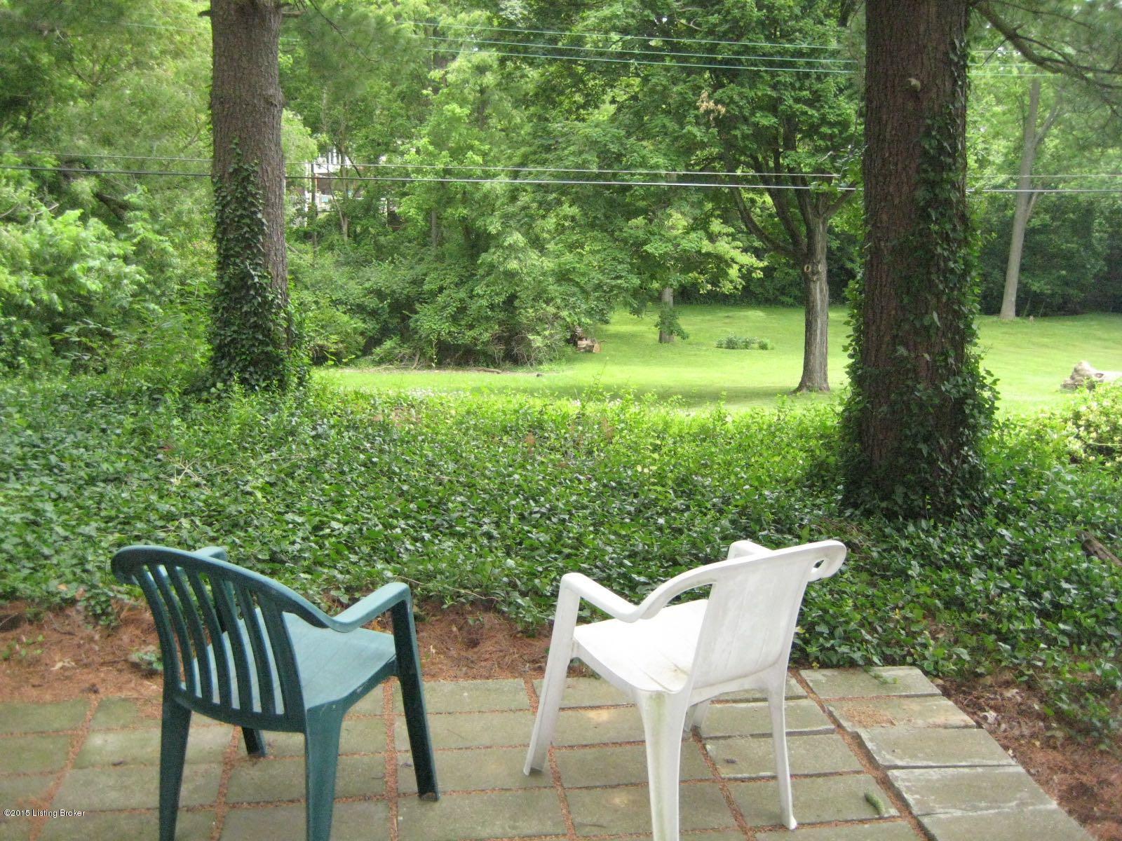 611 Indian Ridge Road Louisville, KY 40207 - Photo 11 of 20 View from LL
