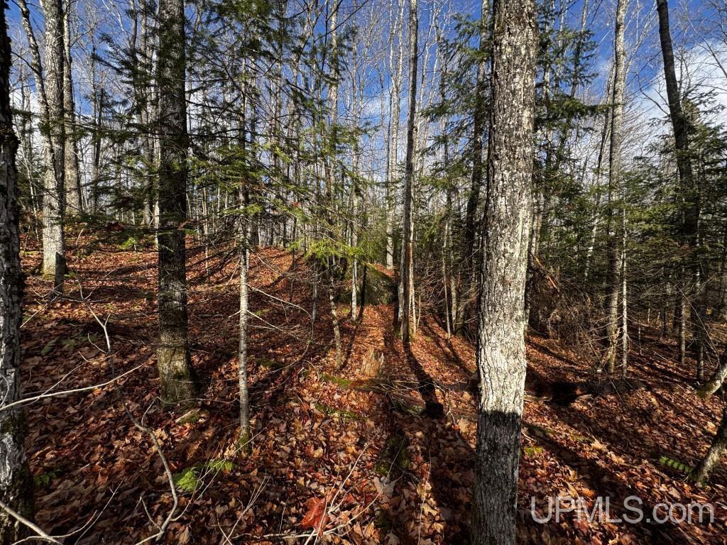 Tbd Tbd Herman Nestoria Road Lanse, MI 49946 - Photo 20 of 25