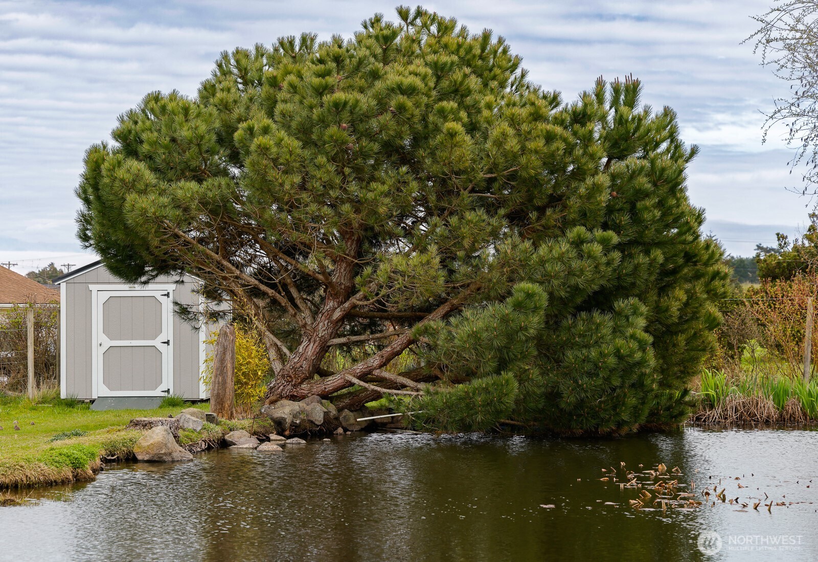 82 Arbor Lane Sequim, WA 98382 - Photo 37 of 39