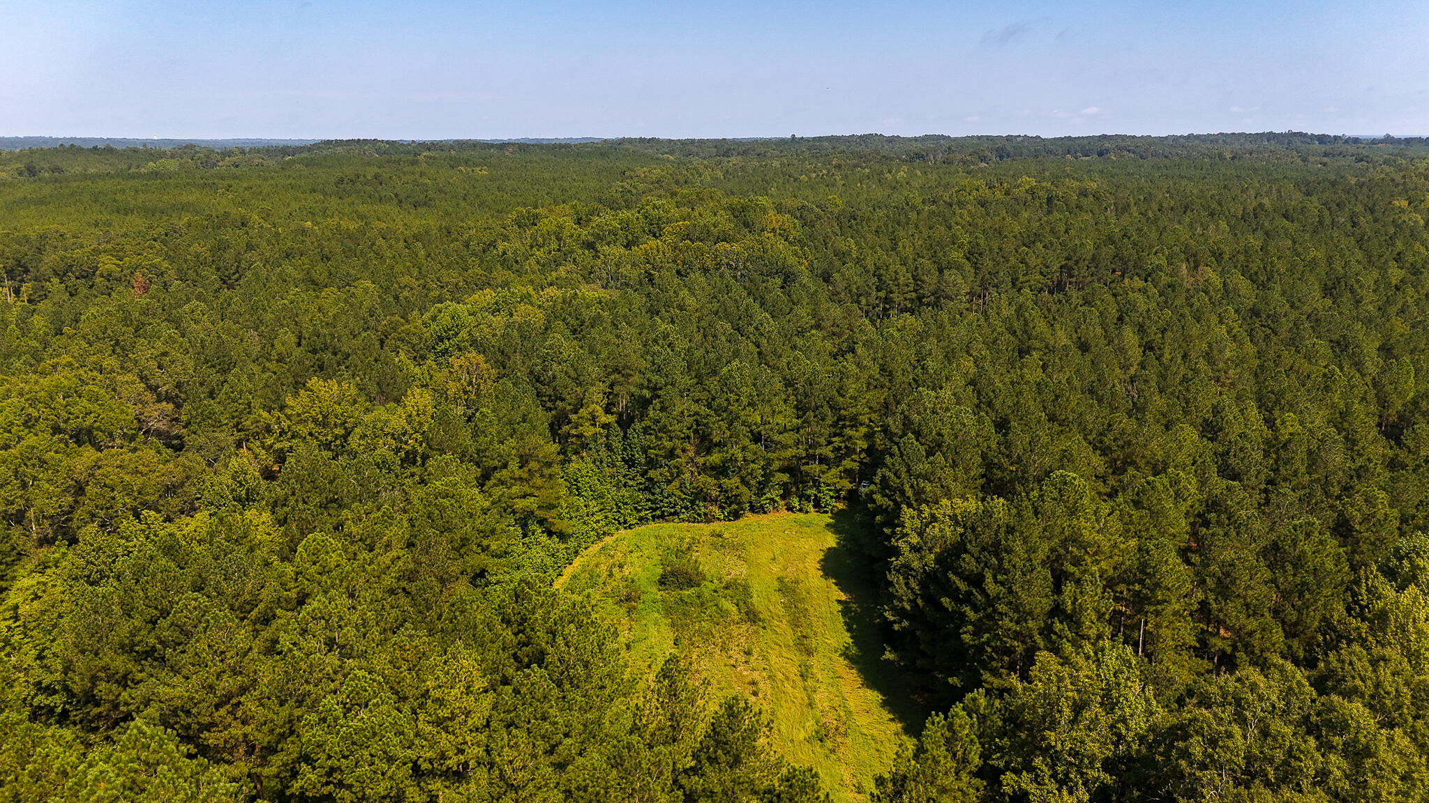 0 Lee Foster Road Union, SC 29379 - Photo 13 of 23 Brushy Creek Compass South Land Sales-35
