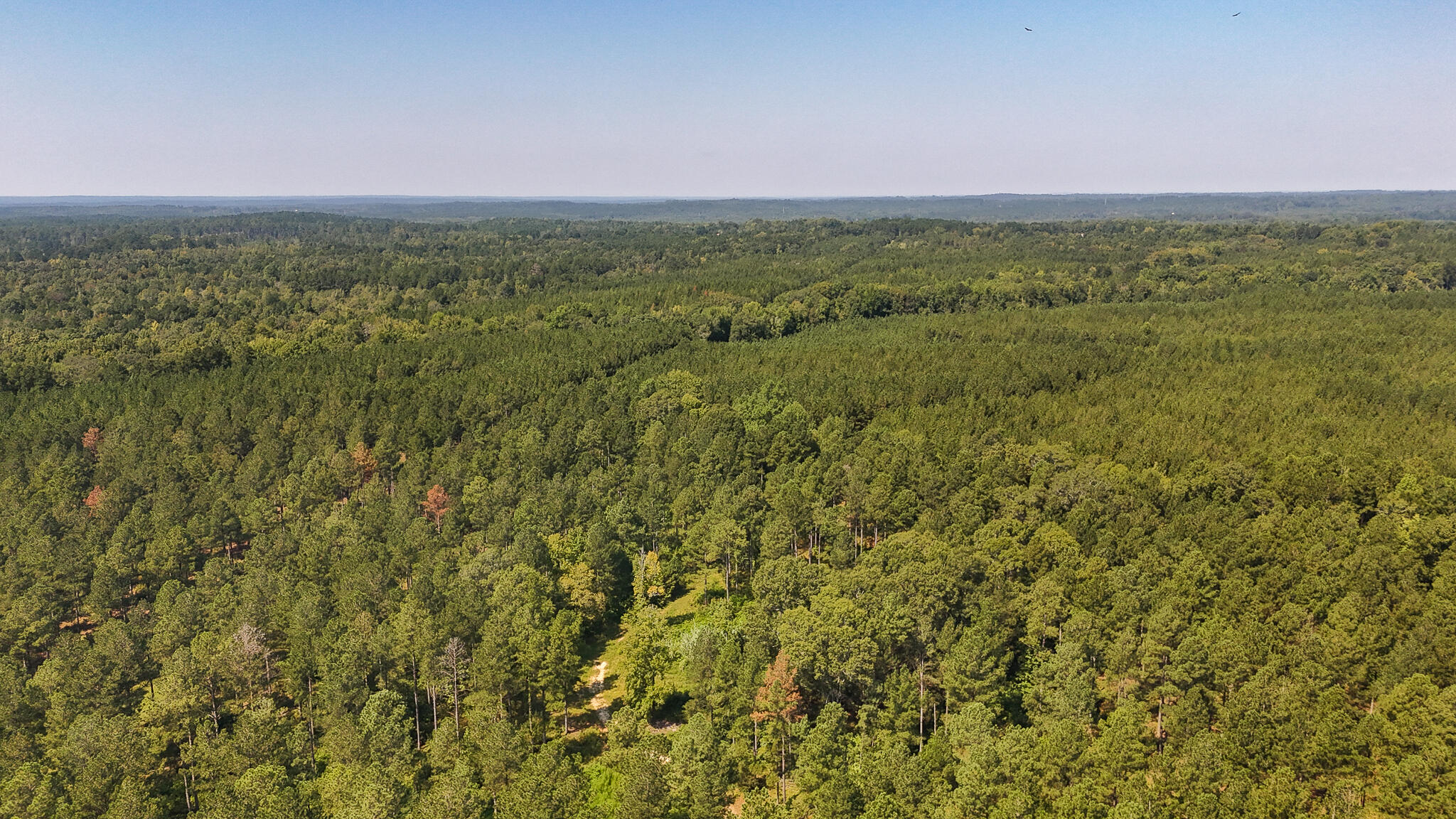 0 Lee Foster Road Union, SC 29379 - Photo 15 of 23 Brushy Creek Compass South Land Sales-37