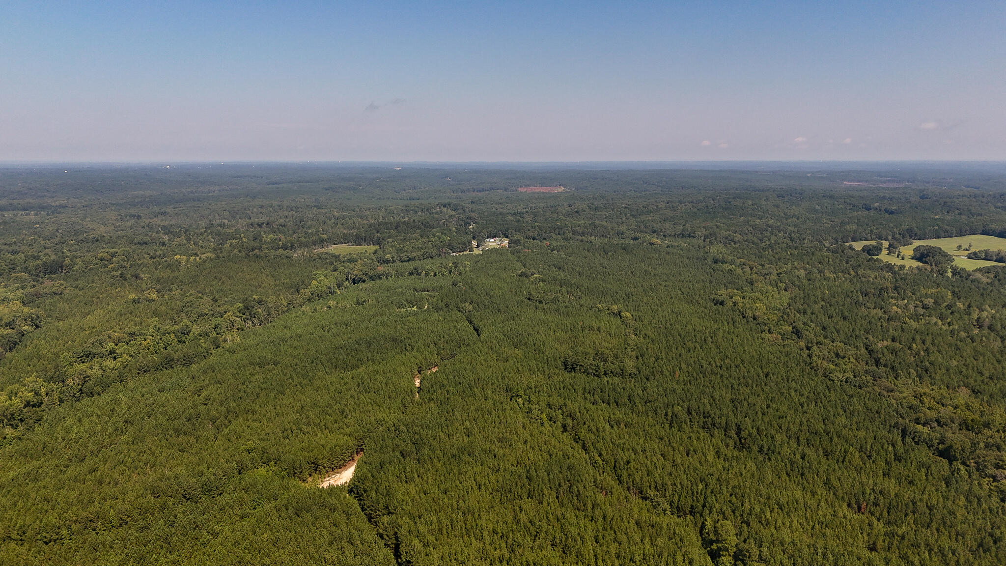 0 Lee Foster Road Union, SC 29379 - Photo 17 of 23 Brushy Creek Compass South Land Sales-39