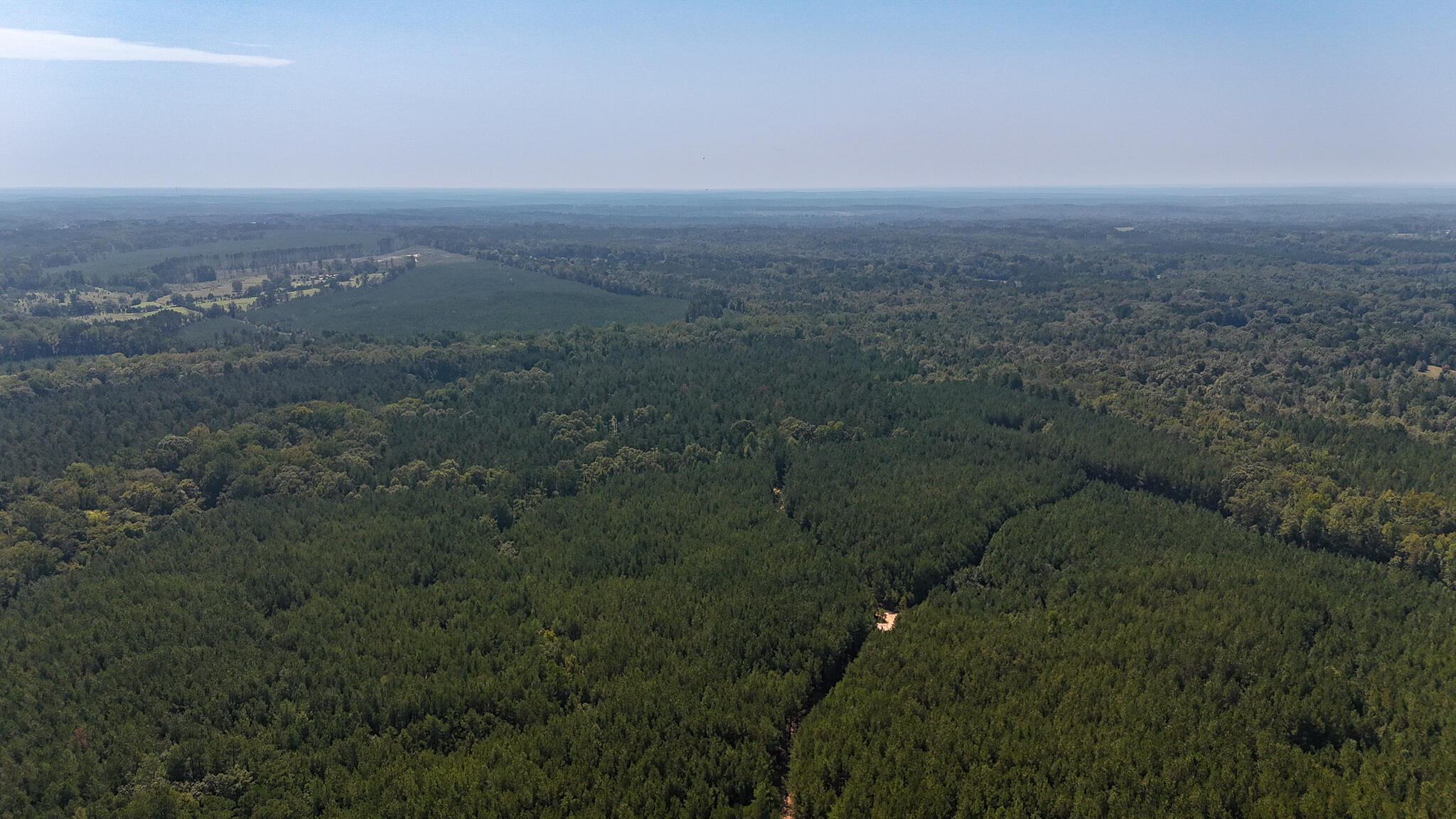 0 Lee Foster Road Union, SC 29379 - Photo 19 of 23 Brushy Creek Compass South Land Sales-41