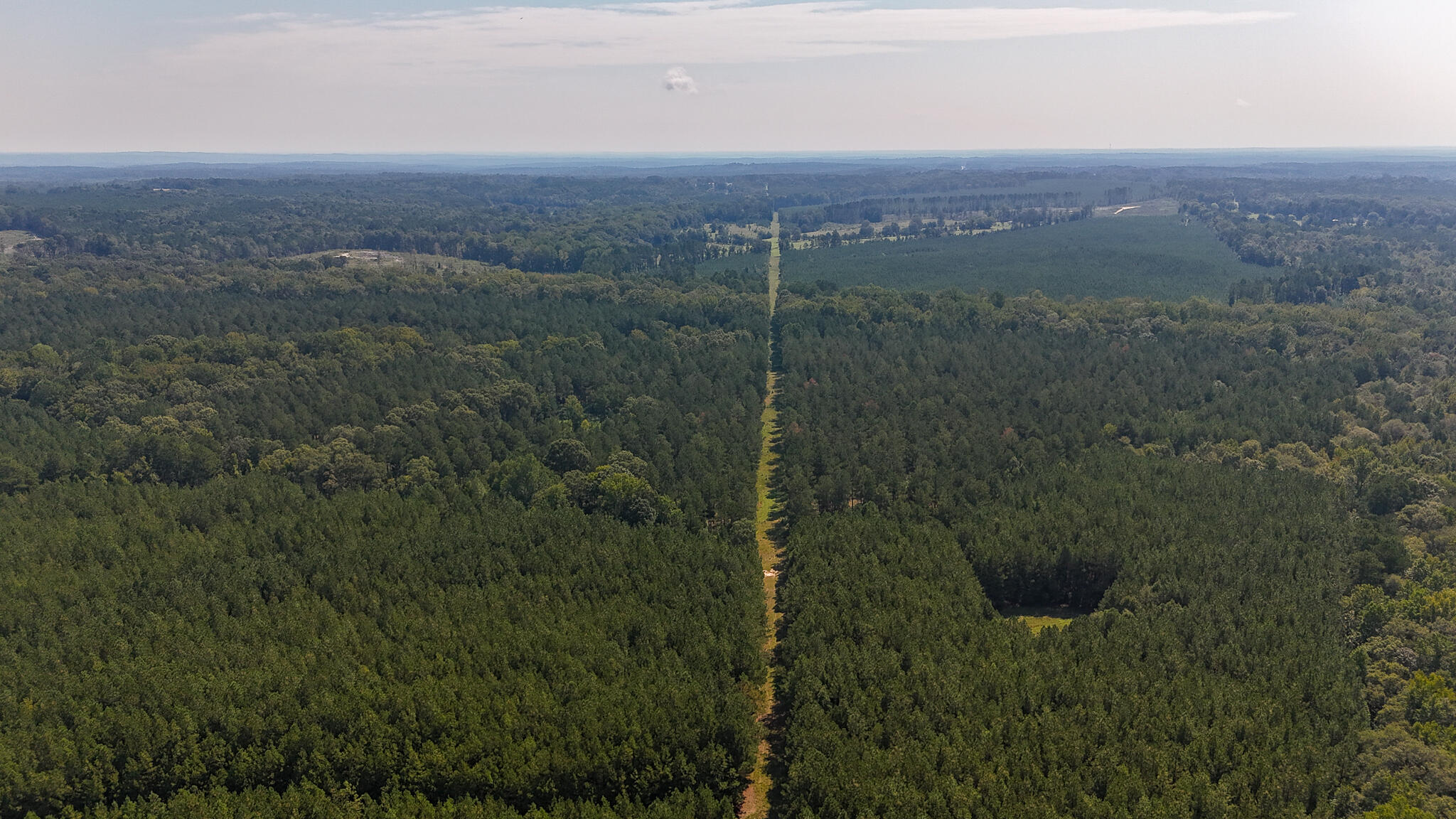 0 Lee Foster Road Union, SC 29379 - Photo 20 of 23 Brushy Creek Compass South Land Sales-42