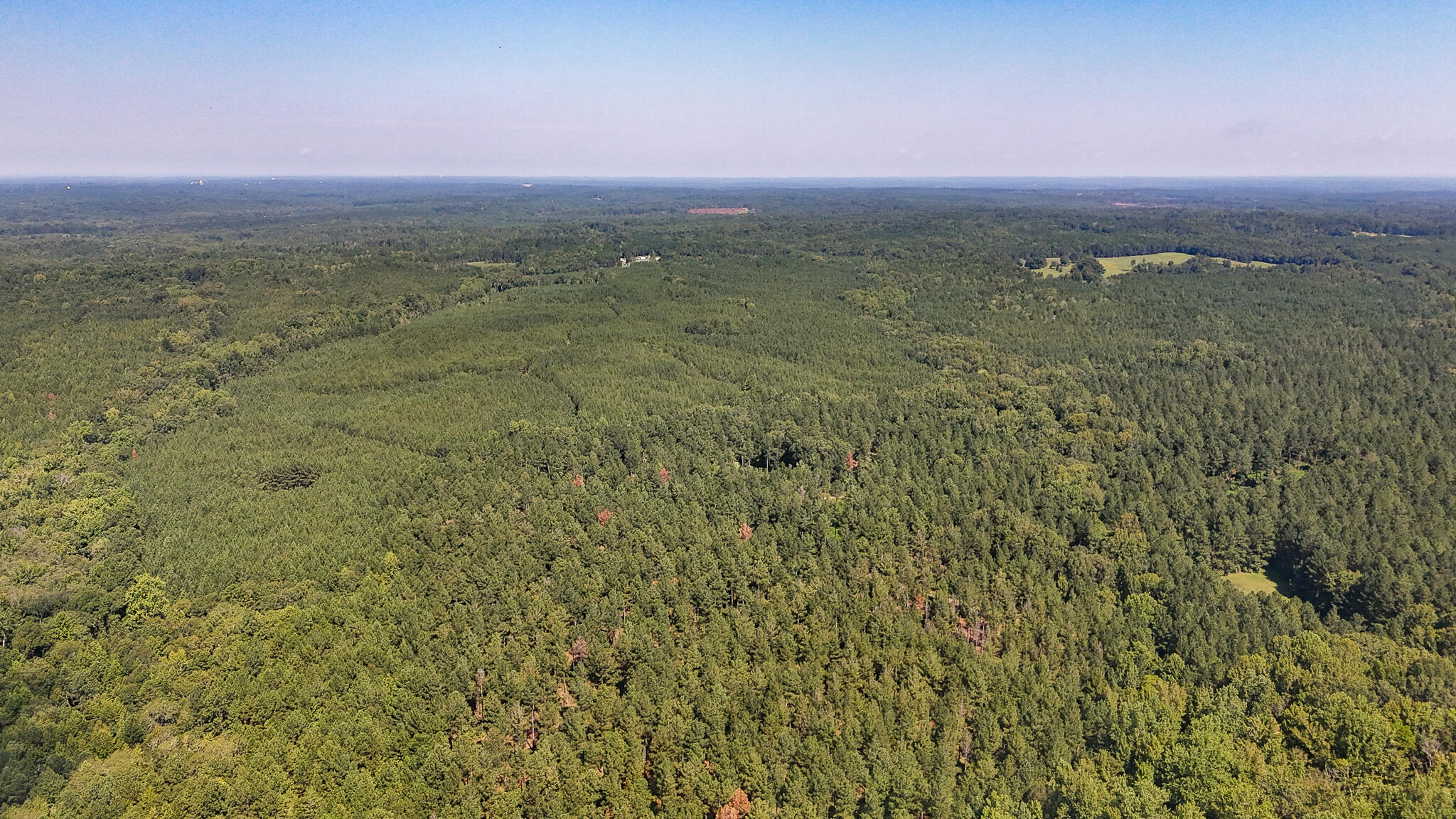 0 Lee Foster Road Union, SC 29379 - Photo 2 of 23 Brushy Creek Compass South Land Sales-46