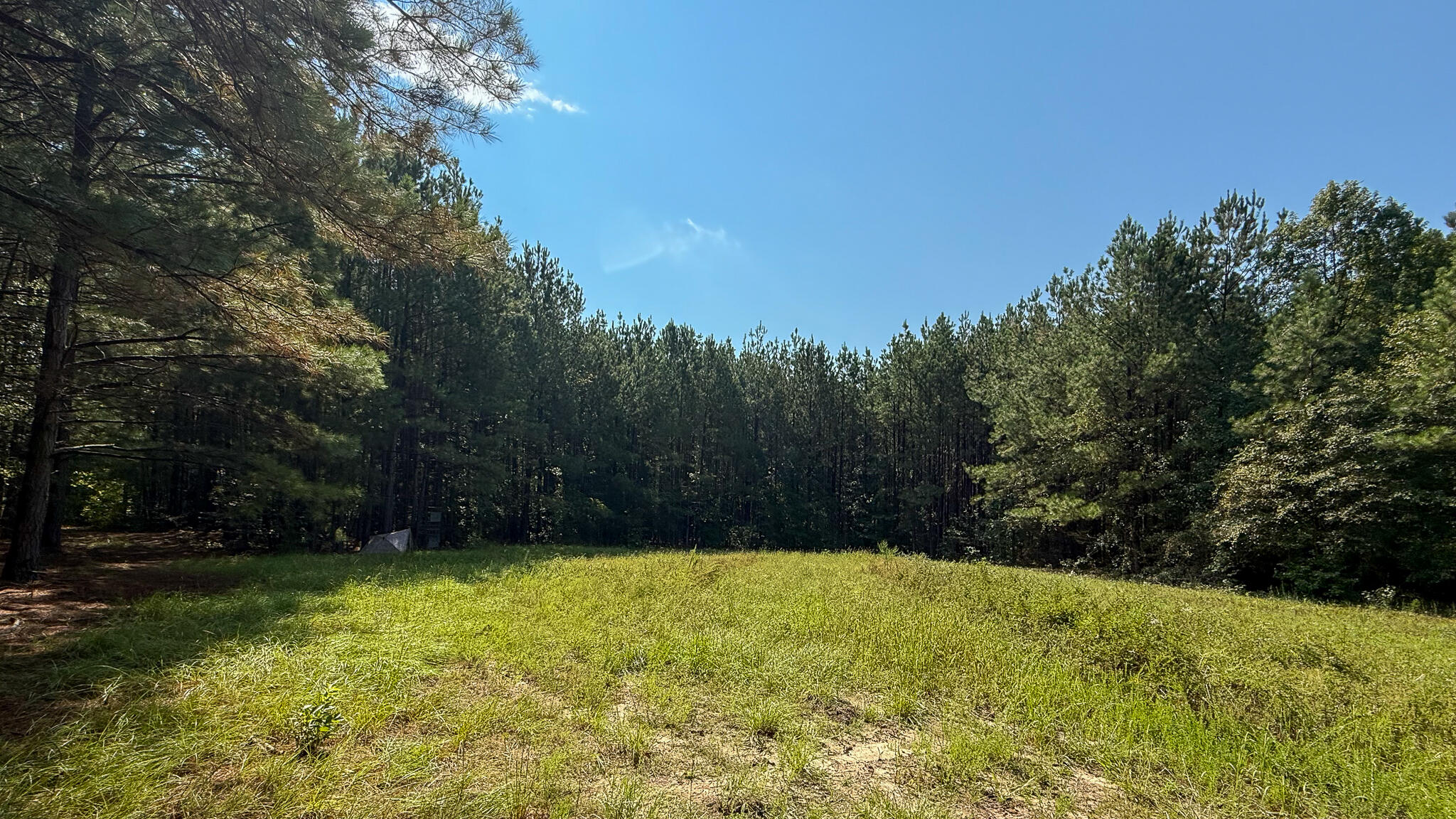 0 Lee Foster Road Union, SC 29379 - Photo 9 of 23 Brushy Creek Compass South Land Sales-30