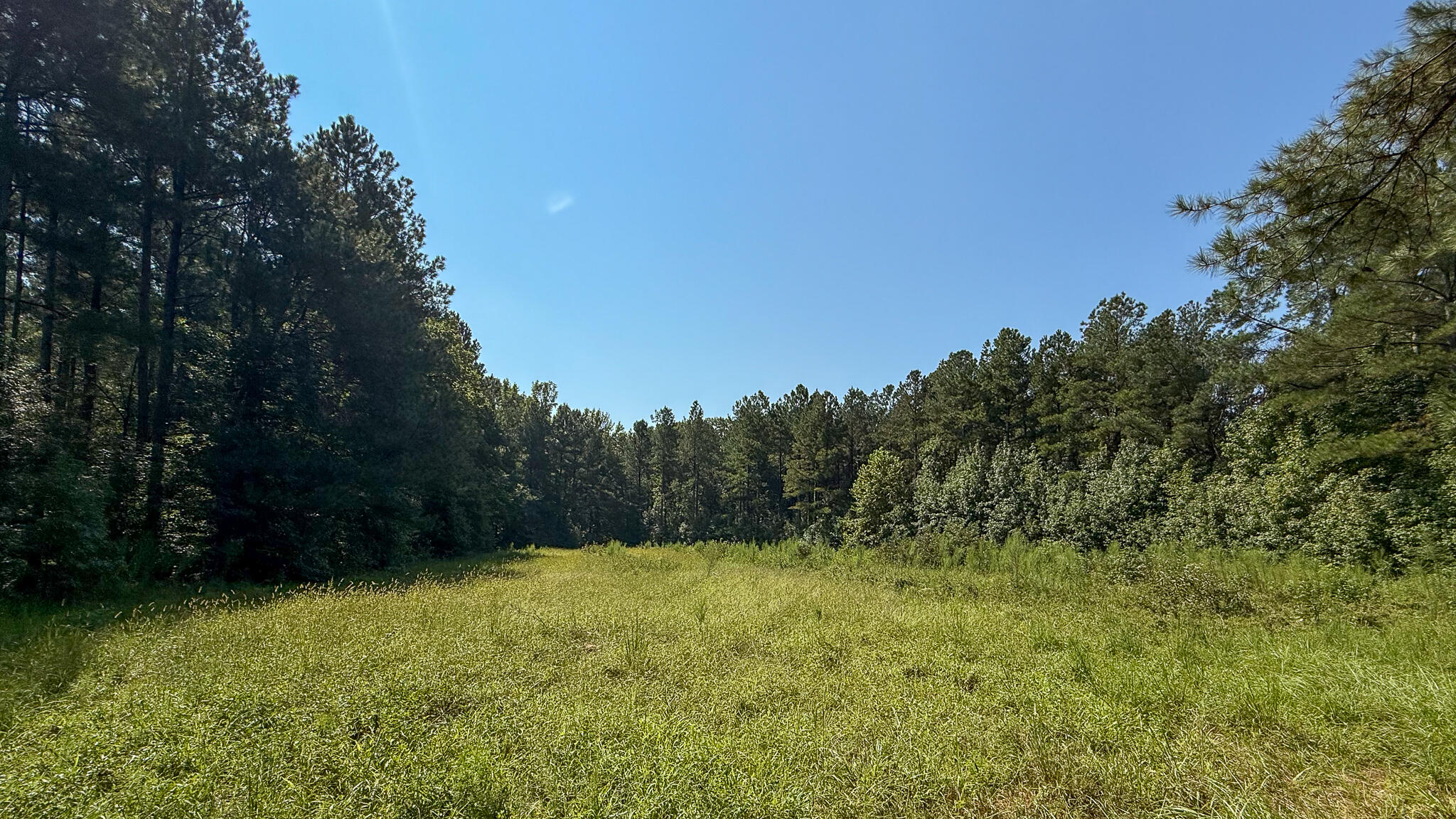 0 Lee Foster Road Union, SC 29379 - Photo 10 of 23 Brushy Creek Compass South Land Sales-31