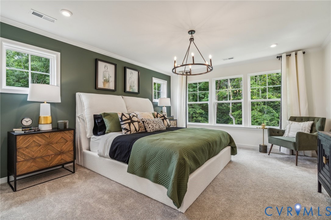 18747 Palisades Ridge Moseley, VA 23120 - Photo 21 of 43