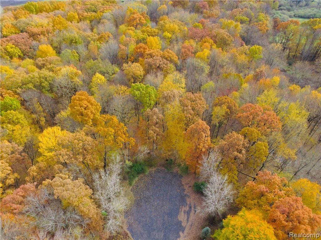 5720 Iosco Mountain Road Gregory, MI 48137 - Photo 3 of 5