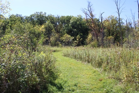 19817 Bockman Road Marengo, IL 60152 - Photo 51 of 54 Gallery Image 51